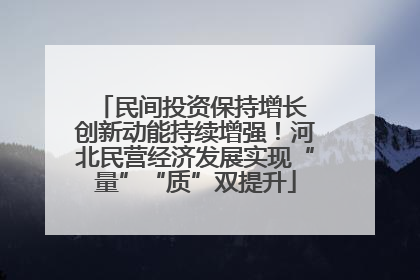 民间投资保持增长 创新动能持续增强！河北民营经济发展实现“量”“质”双提升