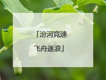 汾河竞速 飞舟逐浪