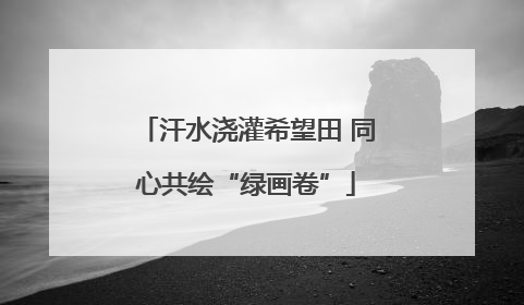汗水浇灌希望田 同心共绘“绿画卷”