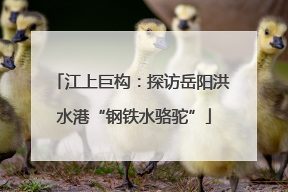 江上巨构：探访岳阳洪水港“钢铁水骆驼”