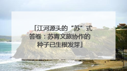 江河源头的“苏”式答卷：苏青文旅协作的种子已生根发芽