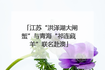 江苏“洪泽湖大闸蟹”与青海“祁连藏羊”联名赴澳