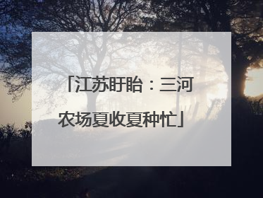 江苏盱眙：三河农场夏收夏种忙