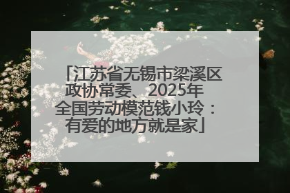 江苏省无锡市梁溪区政协常委、2025年全国劳动模范钱小玲：有爱的地方就是家