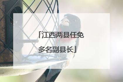 江西两县任免多名副县长