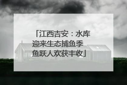 江西吉安：水库迎来生态捕鱼季 鱼跃人欢获丰收