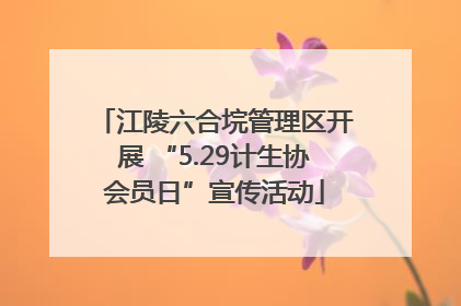 江陵六合垸管理区开展 “5.29计生协会员日”宣传活动