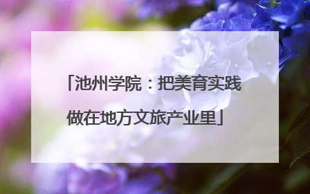 池州学院：把美育实践做在地方文旅产业里