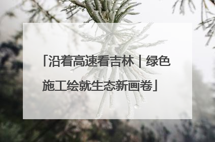 沿着高速看吉林｜绿色施工绘就生态新画卷