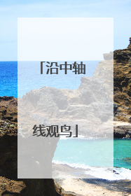 沿中轴线观鸟
