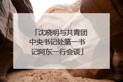 沈晓明与共青团中央书记处第一书记阿东一行会谈