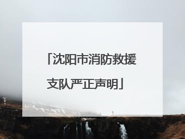 沈阳市消防救援支队严正声明