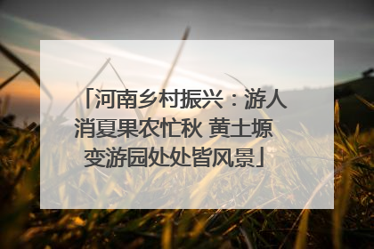 河南乡村振兴：游人消夏果农忙秋 黄土塬变游园处处皆风景
