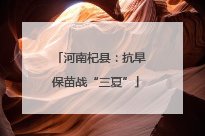 河南杞县：抗旱保苗战“三夏”