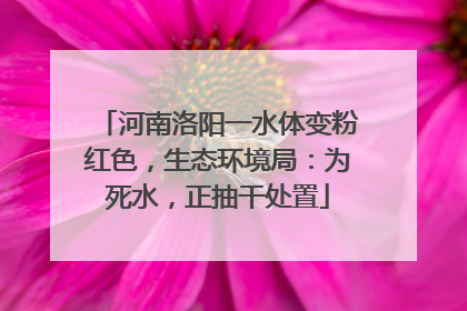 河南洛阳一水体变粉红色，生态环境局：为死水，正抽干处置