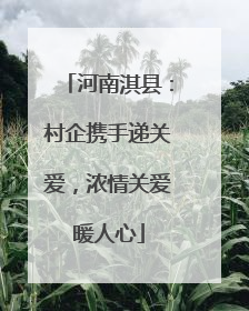 河南淇县：村企携手递关爱，浓情关爱暖人心
