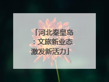河北秦皇岛：文旅新业态激发新活力