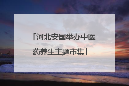 河北安国举办中医药养生主题市集
