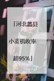 河北蠡县小麦机收率超95%
