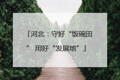 河北：守好“饭碗田” 用好“发展地”