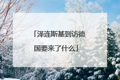 泽连斯基到访德国要来了什么
