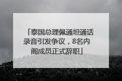 泰国总理佩通坦通话录音引发争议，8名内阁成员正式辞职