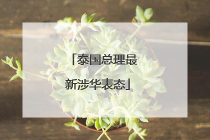 泰国总理最新涉华表态