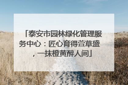 泰安市园林绿化管理服务中心：匠心育得萱草盛，一抹橙黄醉人间