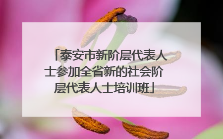 泰安市新阶层代表人士参加全省新的社会阶层代表人士培训班