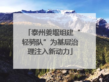 泰州姜堰组建“轻骑队”为基层治理注入新动力