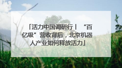 活力中国调研行丨 “百亿级”营收背后，北京机器人产业如何释放活力