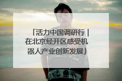 活力中国调研行｜在北京经开区感受机器人产业创新发展