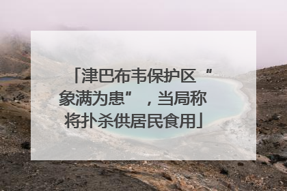津巴布韦保护区“象满为患”，当局称将扑杀供居民食用