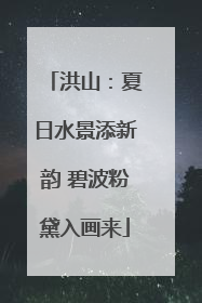 洪山：夏日水景添新韵 碧波粉黛入画来