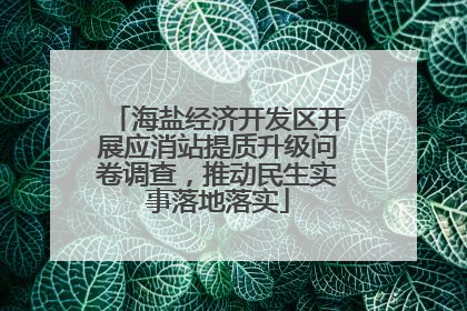 海盐经济开发区开展应消站提质升级问卷调查，推动民生实事落地落实