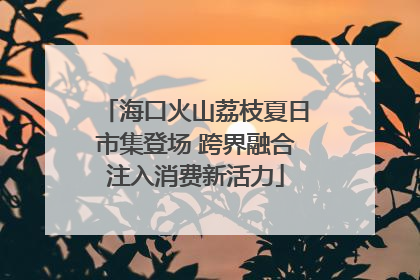海口火山荔枝夏日市集登场 跨界融合注入消费新活力
