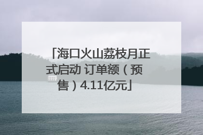 海口火山荔枝月正式启动 订单额（预售）4.11亿元