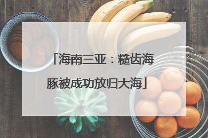 海南三亚：糙齿海豚被成功放归大海