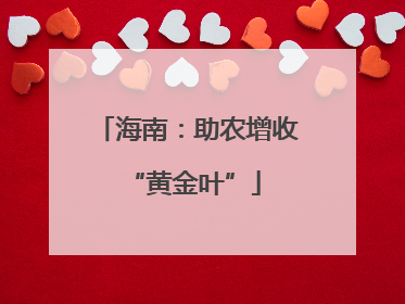 海南：助农增收 “黄金叶”