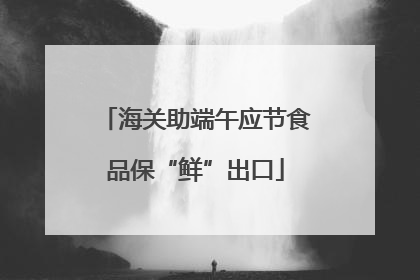 海关助端午应节食品保“鲜”出口