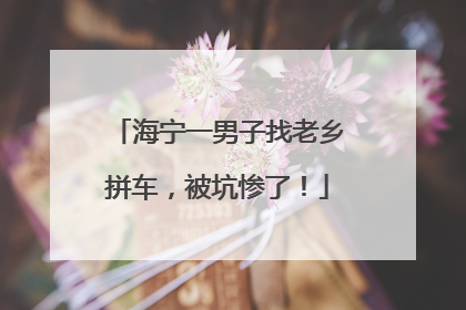 海宁一男子找老乡拼车，被坑惨了！