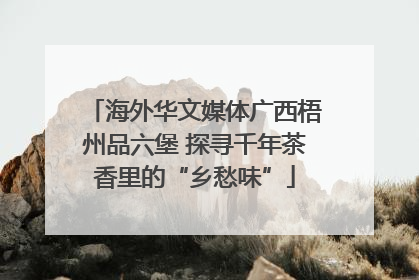 海外华文媒体广西梧州品六堡 探寻千年茶香里的“乡愁味”
