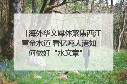 海外华文媒体聚焦西江黄金水道 看亿吨大港如何做好“水文章”