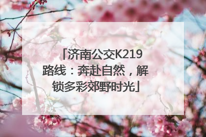 济南公交K219路线：奔赴自然，解锁多彩郊野时光