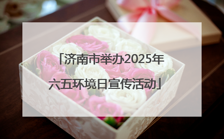 济南市举办2025年六五环境日宣传活动