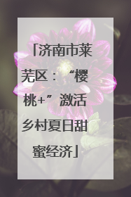 济南市莱芜区：“樱桃+”激活乡村夏日甜蜜经济
