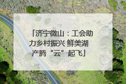 济宁微山：工会助力乡村振兴 鲜美湖产腾“云”起飞