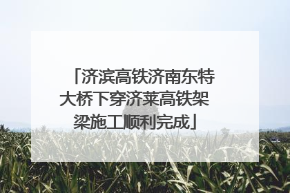 济滨高铁济南东特大桥下穿济莱高铁架梁施工顺利完成