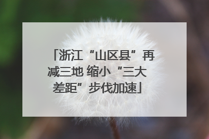 浙江“山区县”再减三地 缩小“三大差距”步伐加速