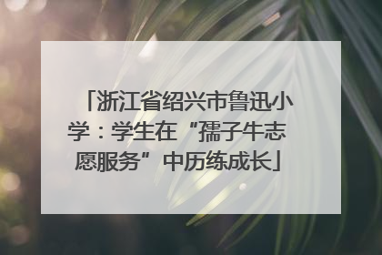 浙江省绍兴市鲁迅小学：学生在“孺子牛志愿服务”中历练成长